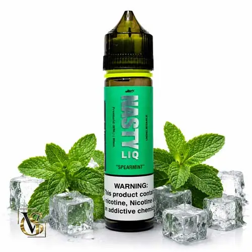 جویس نعنا نستی | nasty liquid spearmint