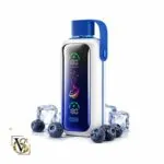 vozol 20000 puffs vista