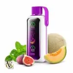 vozol 20000 puffs vista
