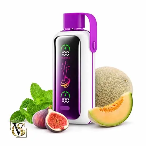 vozol 20000 puffs vista